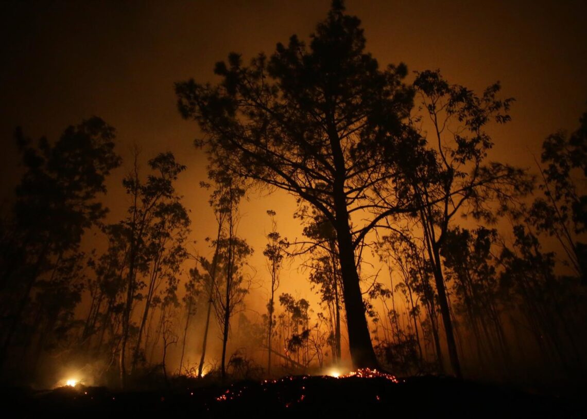 Archivo - Árboles de eucalipto arden durante el incendio, a 12 de octubre de 2023, en Vidal, Trabada, Lugo, Galicia (España). Carlos Castro - Europa Press - Archivo