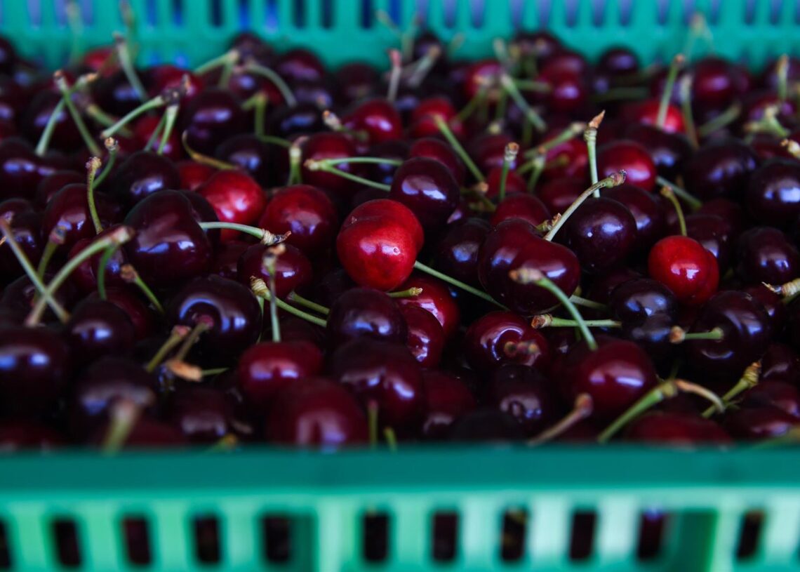 Archivo - Cajas llenas de cerezas  Gustavo Valiente - Europa Press - Archivo