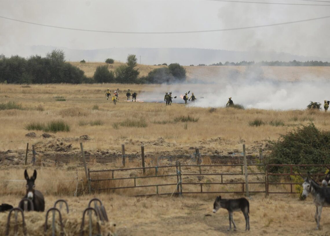 Varios bomberos tratan de extinguir un fuego Fernando Otero - Europa Press