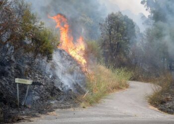 Incendio forestal en GaliciaCarlos Castro - Europa Press