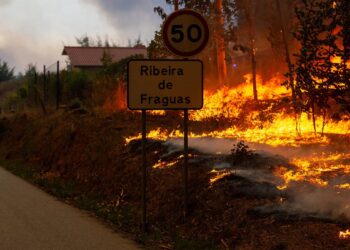 Archivo - Un incendio que asola PortugalEuropa Press/Contacto/Diogo Baptista - Archivo