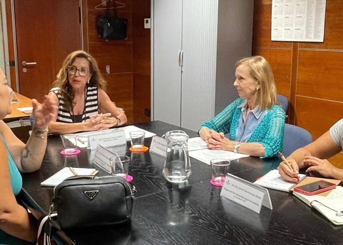 Trabajadoras de ayuda a domicilio en Santa Cruz denuncian "falta" de gestión del servicio y situaciones de acoso sexualDIPUTADA DEL COMÚN