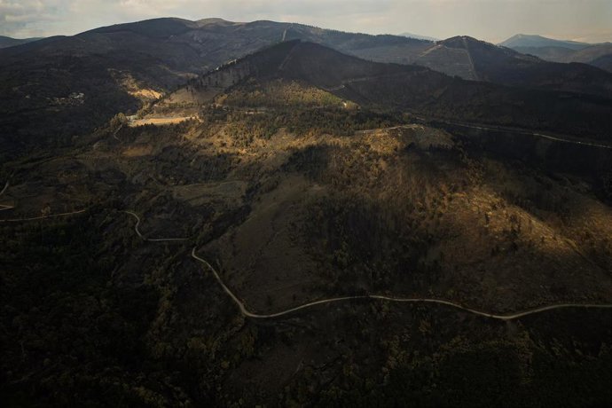 Vista aérea tras el incendio, a 20 de agosto de 2025, en Cernego, Ourense, Galicia (España).
- Adrián Irago - Europa Press