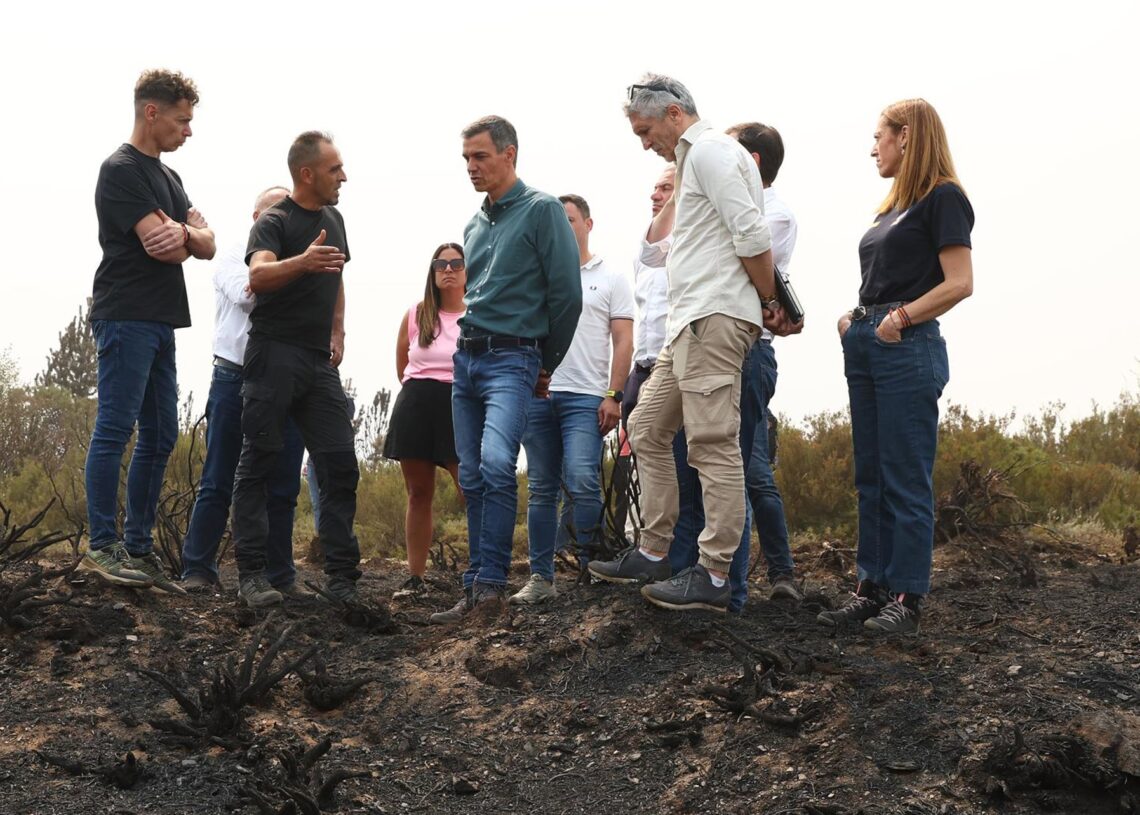 El presidente del Gobierno, Pedro Sánchez (c), y el ministro del Interior, Fernando Grande-Marlaska (2d), durante su visita a las zonas afectadas por los incendios forestales en Castilla y LeónPool Moncloa/Fernando Calvo