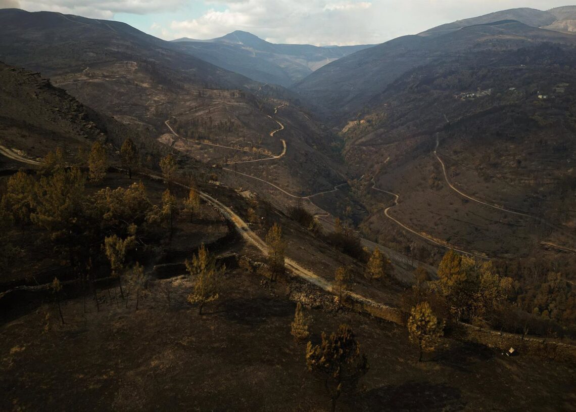 Vista aérea tras el incendio, a 20 de agosto de 2025, en Cernego, Ourense, Galicia (España). Adrián Irago - Europa Press