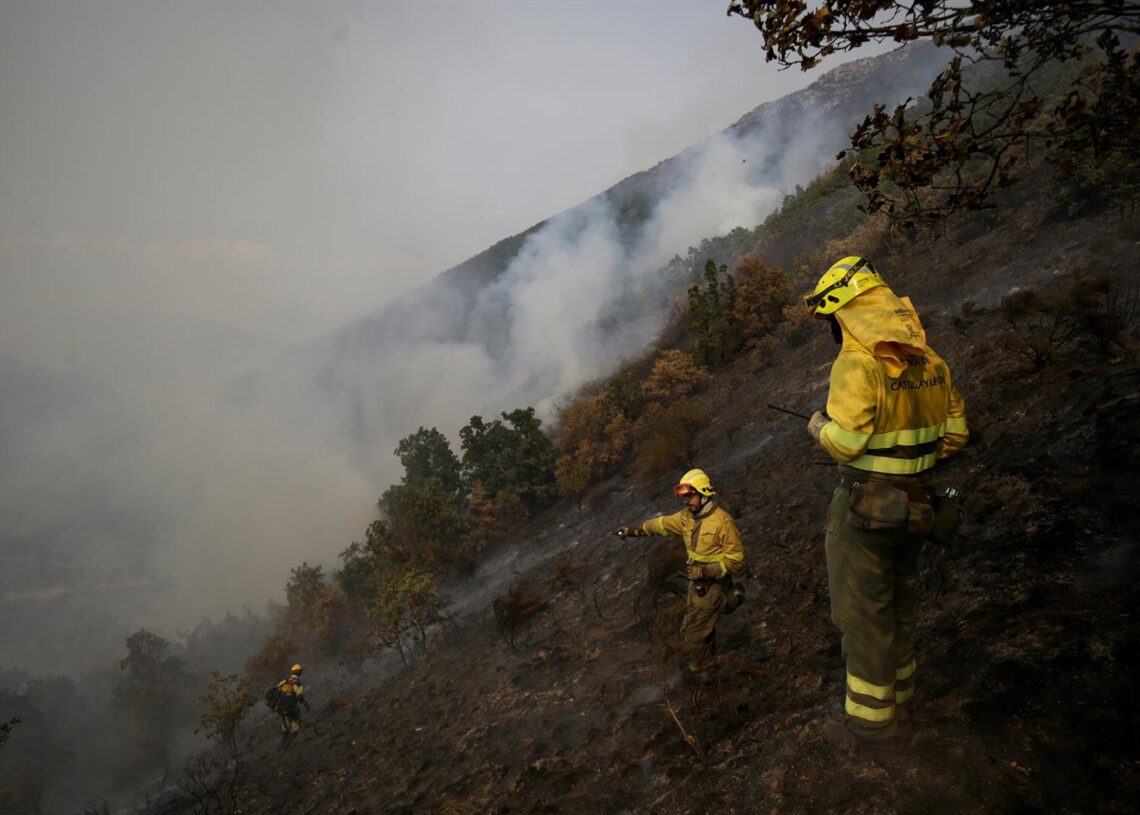 Varios bomberos forestales tratan de extinguir el fuego, a 19 de agosto de 2025, en Palacios de Compludo, León, Castilla y León (España).Fernando Otero - Europa Press