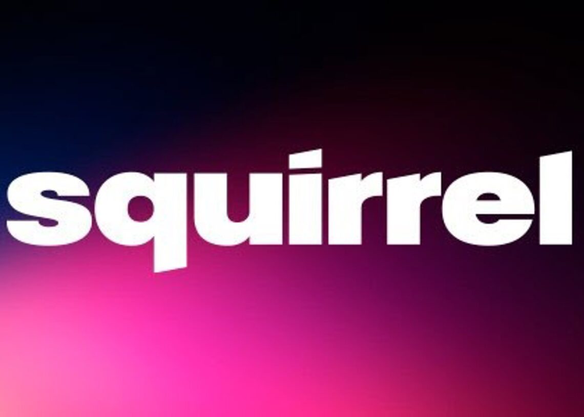 Archivo - Logo SquirrelSQUIRREL - Archivo