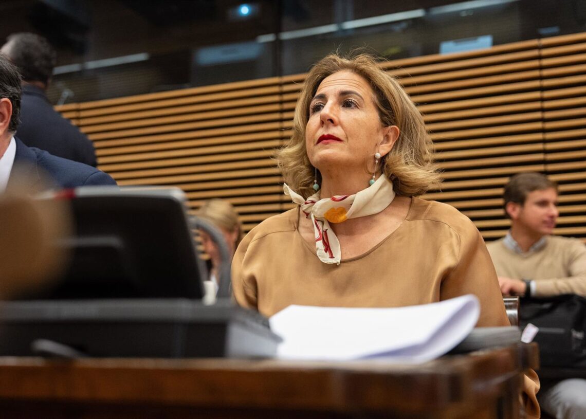 La diputada nacional del PP Isabel BorregoPPRM