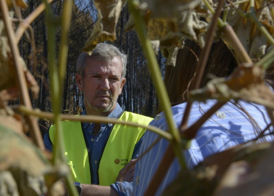El presidente de la Xunta, Alfonso Rueda, durante su visita a los viñedos de la Bodega Tapias Mariñán afectados por los incendios forestales, a 22 de agosto de 2025, en Verín, Ourense, Galicia (España).Rosa Veiga - Europa Press