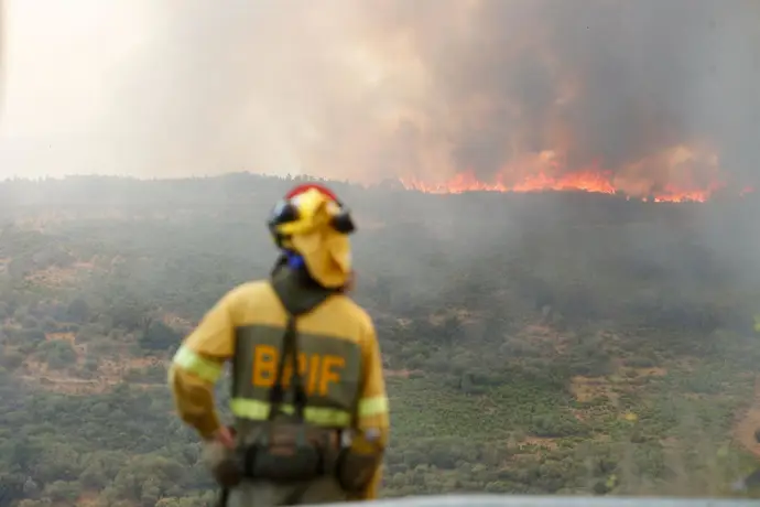 Un bombero observa el incendio forestal, a 24 de agosto de 2025, en La Baña, Encinedo, La Cabrera, León, Castilla y León (España).
- Carlos Castro - Europa Press