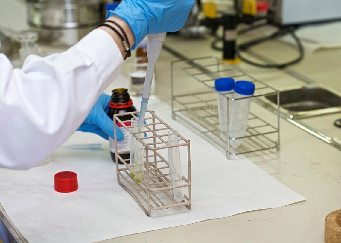 Archivo - Investigación en un laboratorioUNIVERSIDAD DE ALICANTE (UA) - Archivo