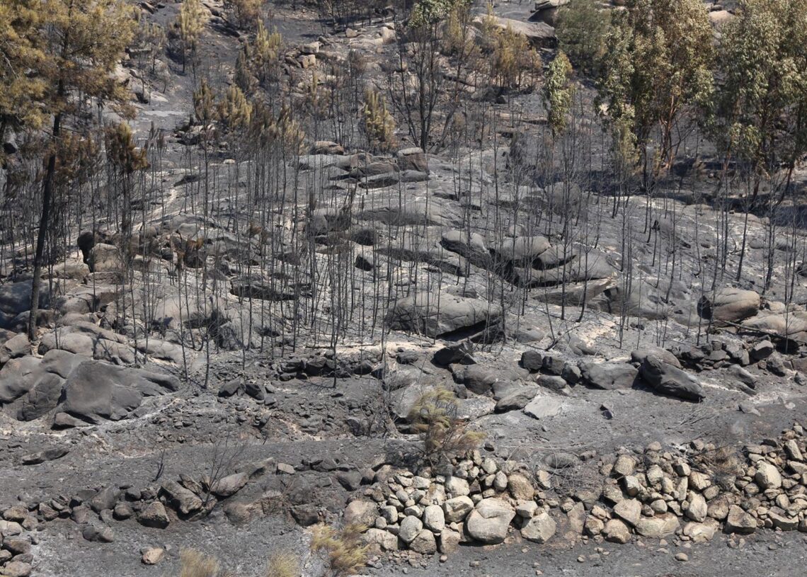 Zona calcinada por un incendio en Castelo Novo, en el centro de PortugalEuropa Press/Contacto/Xun Wei