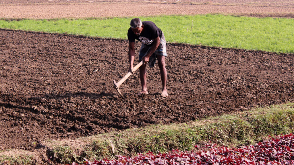 Una persona trabaja en el campo. Piqsels.
