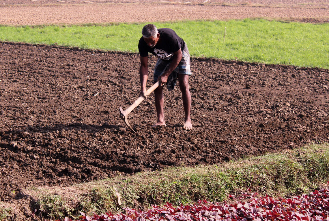 Una persona trabaja en el campo. Piqsels.