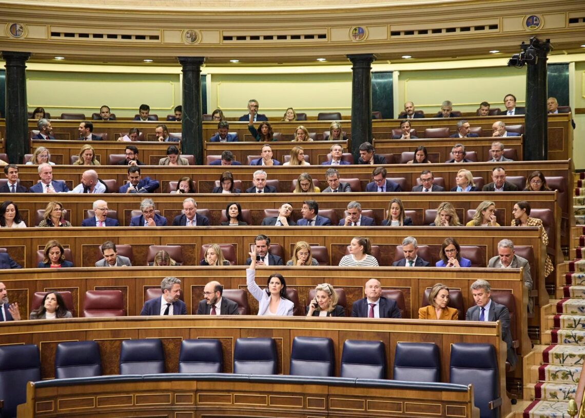 Archivo - La bancada del PP vota durante una sesión plenaria, en el Congreso de los Diputados, a 20 de mayo de 2025, en Madrid (España).Jesús Hellín - Europa Press - Archivo