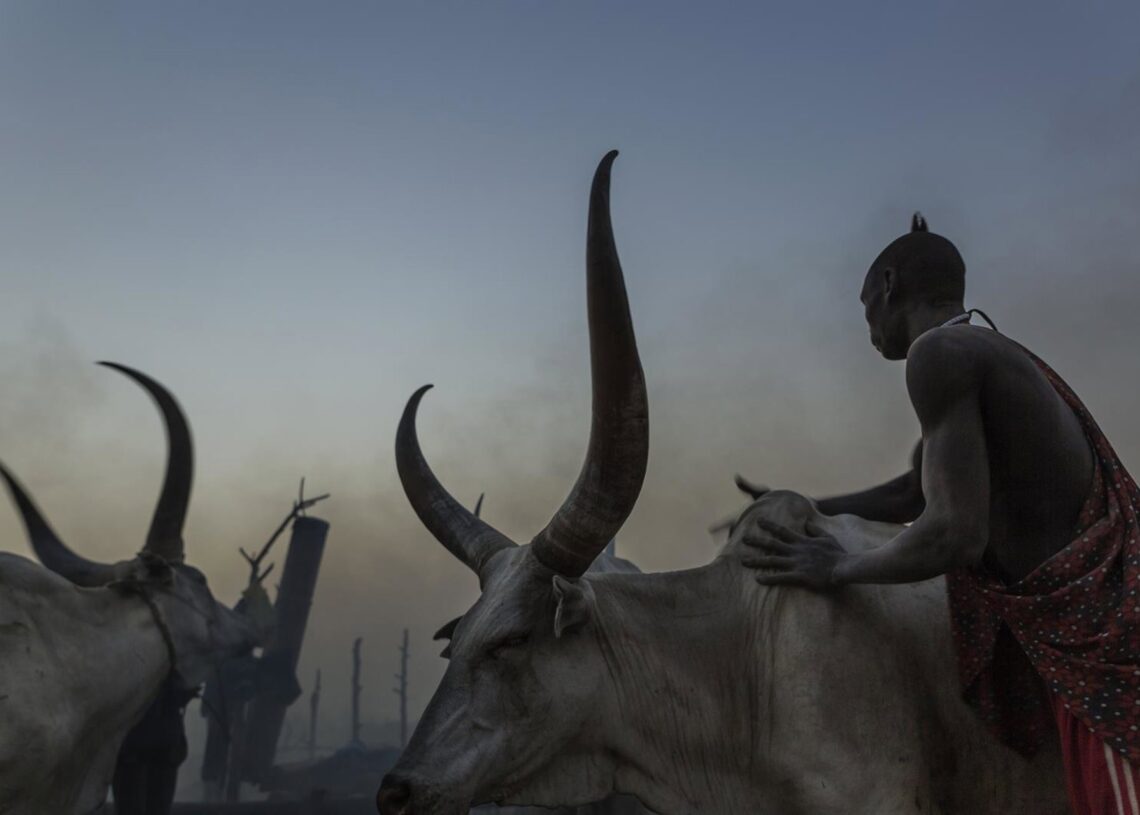 Archivo - Pastores en Sudán del Sur (archivo)Europa Press/Contacto/Tariq Zaidi - Archivo