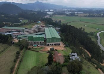 Fábrica de Papeles y Corrugados Andina en SesquiléLANTANIA