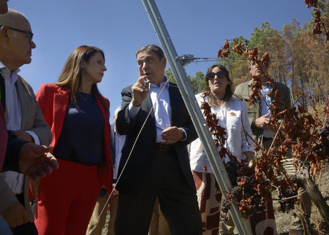 El ministro de Agricultura, Pesca y Alimentación, Luis Planas (c), visita explotaciones de las zonas afectadas por los grandes incendios de este verano, en A Rúa, Ourense, Galicia.Rosa Veiga - Europa Press