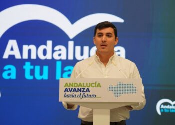 El vicesecretario de Educación, Universidad y Representación Estudiantil del PP-A, José Carlos García, este viernes en rueda de prensa.PP-A