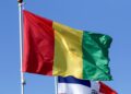 Archivo - Bandera de la República de GuineaEuropa Press/Contacto/Maksim Konstantinov