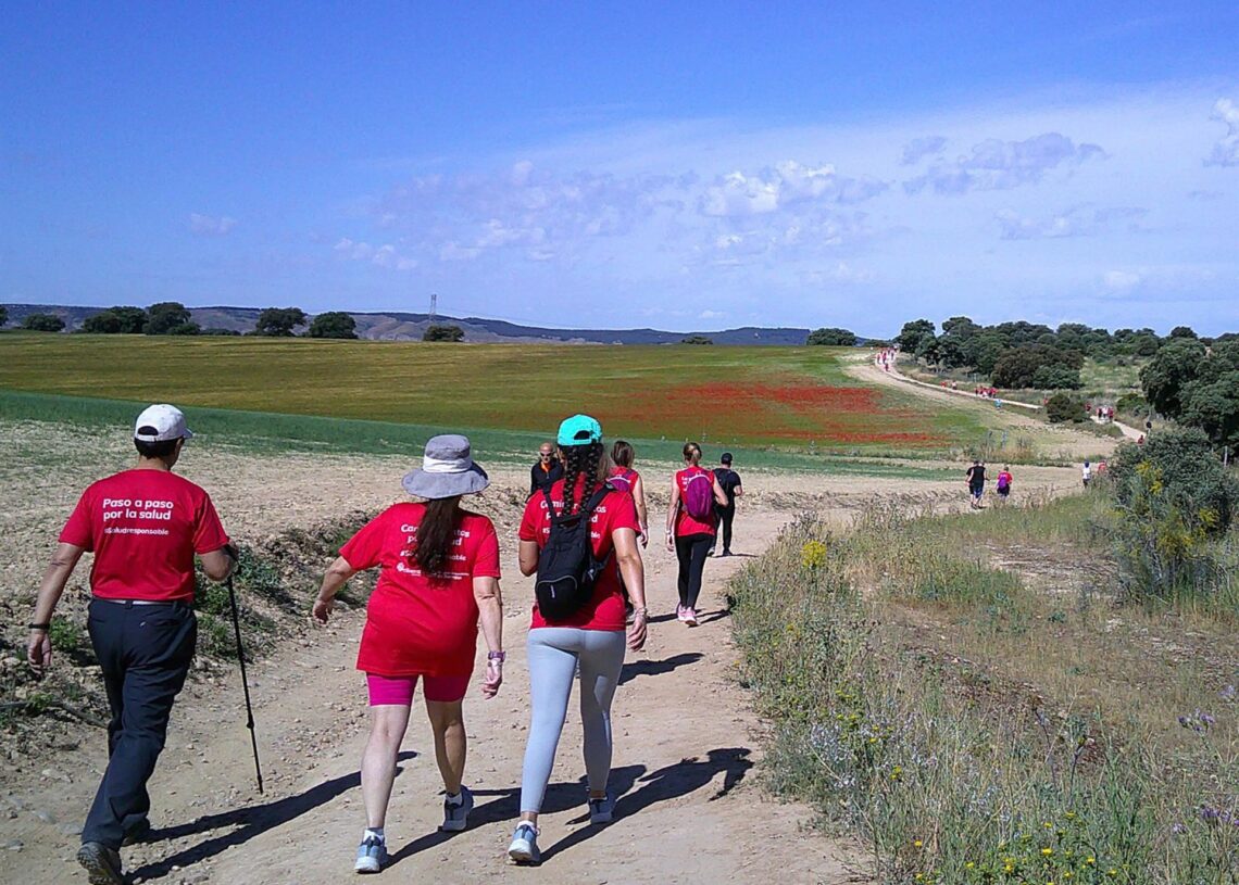Archivo - Camino de CervantesHOSPITAL DE TORREJÓN - Archivo