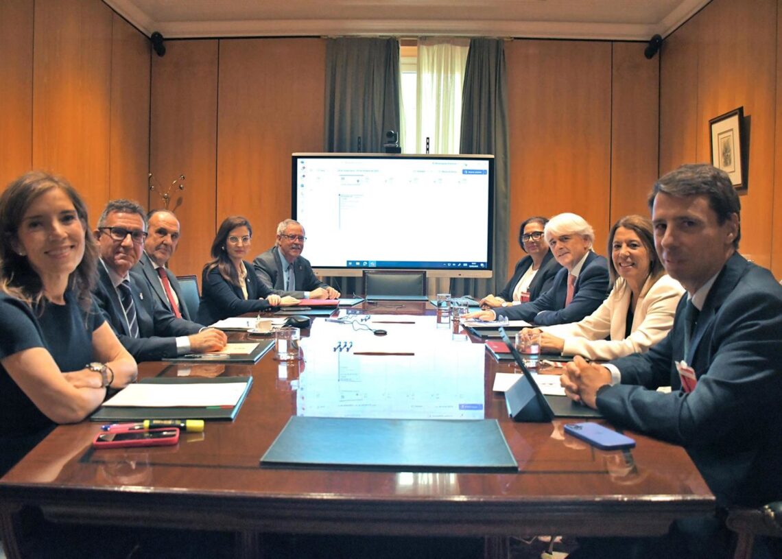 La Abogacía pide suspender automáticamente las vistas en situaciones de emergencia como la de ayer en ValenciaABOGACÍA ESPAÑOLA