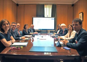 La Abogacía pide suspender automáticamente las vistas en situaciones de emergencia como la de ayer en ValenciaABOGACÍA ESPAÑOLA
