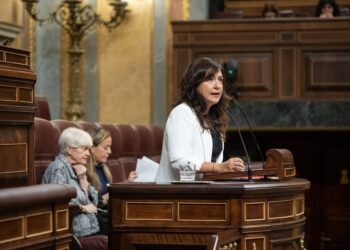 (Foto de ARCHIVO)
La diputada del PSOE Andrea Canelo interviene durante una sesión plenaria en el Congreso de los Diputados, a 15 de octubre de 2024, en Madrid (España). 
Alejandro Martínez Vélez / Europa Press
15 OCTUBRE 2024;CONGRESO;DEBATE;LEY;PP;ETARRAS;LISTAS ELECTORALES;PERDÓN;MADRID
15/10/2024