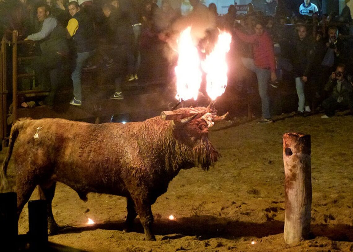 Archivo - Imagen del Toro Jubilo del año 2015EUROPA PRESS - Archivo
