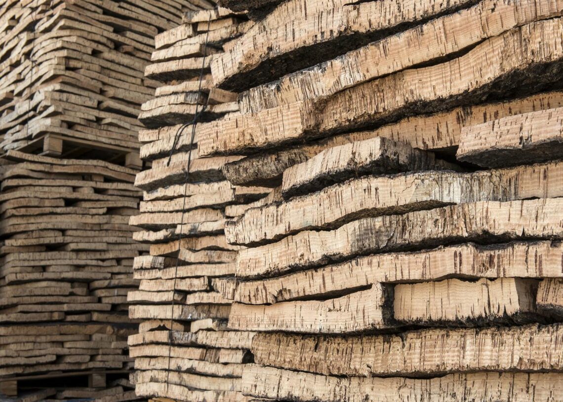 Archivo - Placas de corcho natural a la espera de ser estabilizadas con un primer hervido en la fábrica De Maria Taps S.L., en Cassà de la Selva, a 16 de junio de 2022, en Girona, Cataluña (España). Glòria Sánchez - Europa Press - Archivo