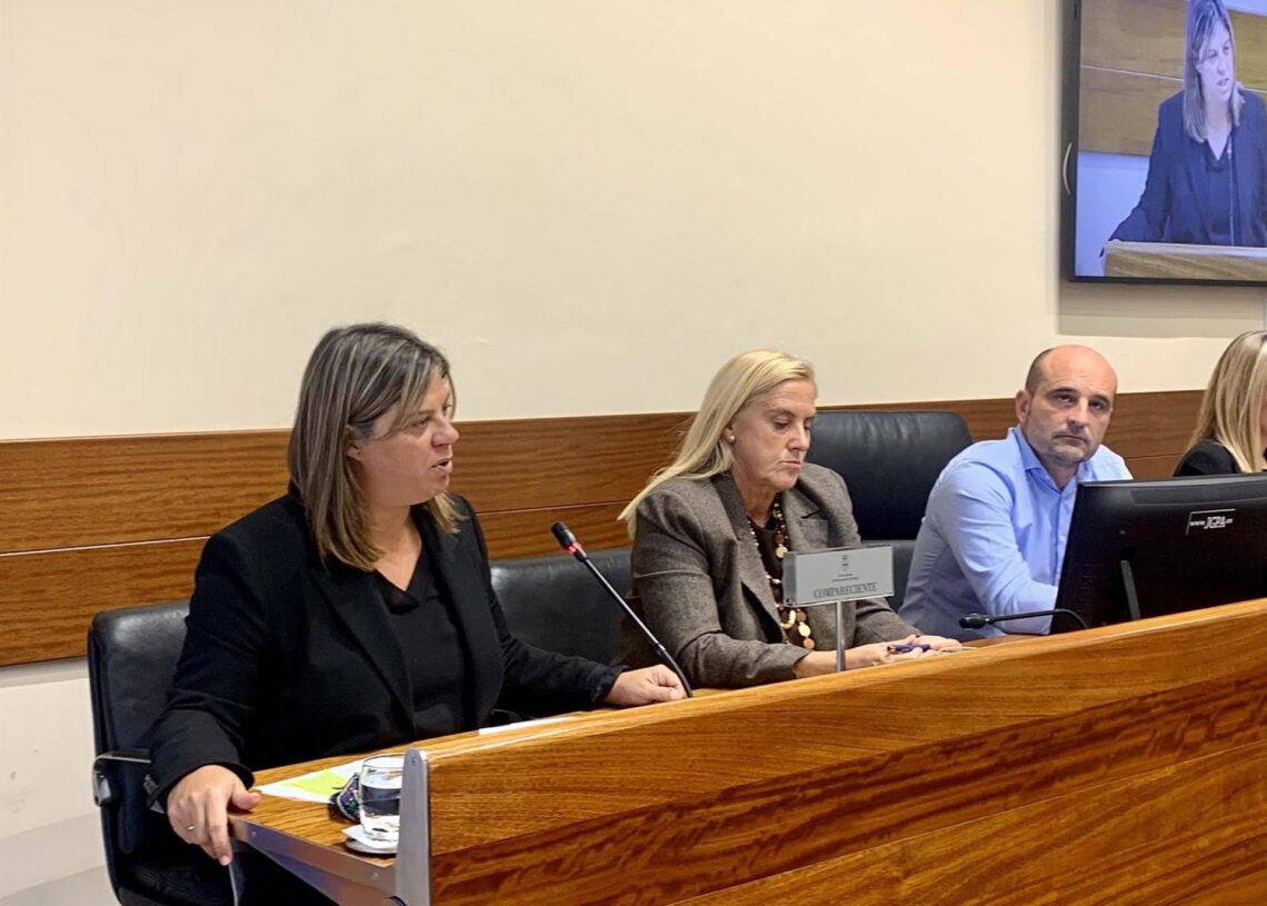 La vicepresidenta del Gobierno asturiano, Gimena Llamedo, y la diputada del PP Susana Fernández Arias durante la comisión parlamentaria en la Junta General.GRUPO SOCIALISTA