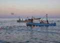 Varios pescadores durante la ‘levantá’ del atún en las inmediaciones de Barbate, a 27 de mayo de 2025, en Barbate, Cádiz, Andalucía (España). Juanma Jiménez - Europa Press