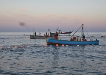 Varios pescadores durante la ‘levantá’ del atún en las inmediaciones de Barbate, a 27 de mayo de 2025, en Barbate, Cádiz, Andalucía (España). Juanma Jiménez - Europa Press