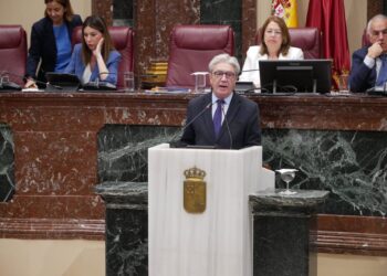 El diputado del PP, Miguel Ángel MirallesPP