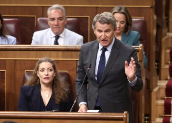 El presidente del PP, Alberto Núñez Feijóo, interviene durante una sesión de control al Gobierno en el Congreso Eduardo Parra - Europa Press