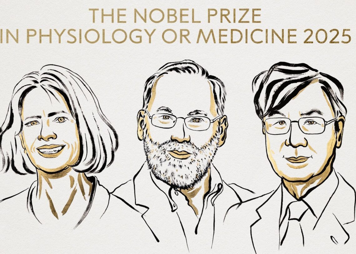 Archivo - El Nobel de medicina premia Mary Brankov, Fred Ramstell y Shimon Sakaguchi por  la tolerancia inmune periféricaNOBEL - Archivo
