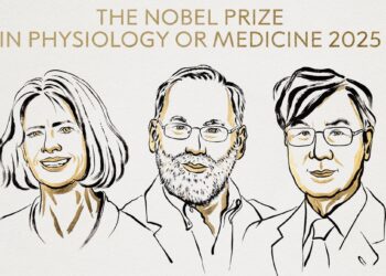Archivo - El Nobel de medicina premia Mary Brankov, Fred Ramstell y Shimon Sakaguchi por  la tolerancia inmune periféricaNOBEL - Archivo