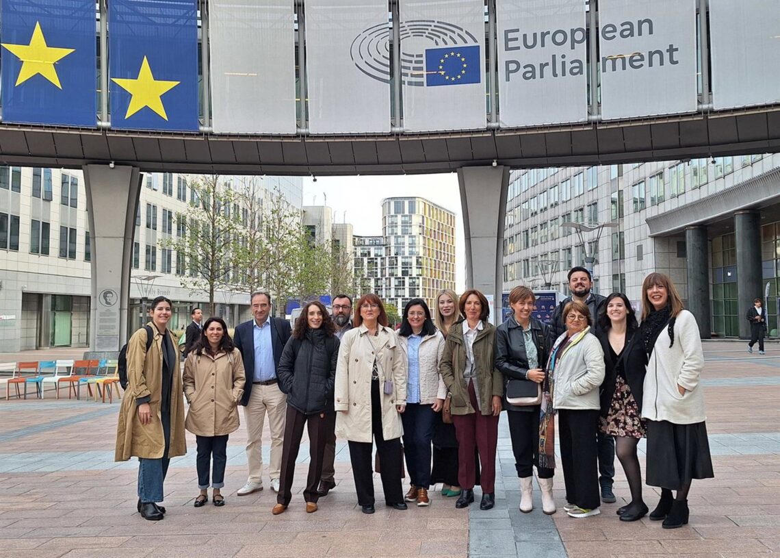 Representantes de Daño Cerebral Estatal en su visita al Parlamento Europeo.DAÑO CEREBRAL ESTATAL
