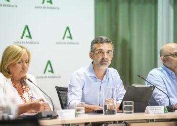 El consejero de Agricultura, Pesca, Agua y Desarrollo Rural, Ramón Fernández-Pacheco (c) durante la reunión. A 07 de octubre de 2025, en Sevilla (Andalucía, España). María José López - Europa Press