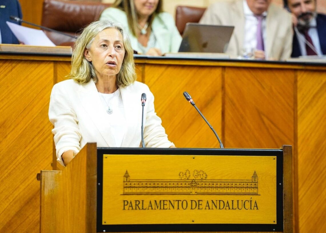 La consejera de Salud, Rocío Hernández, este miércoles durante su comparecencia en el Pleno del Parlamento. (Foto de archivo).JOAQUÍN CORCHERO/PARLAMENTO DE ANDALUCÍA