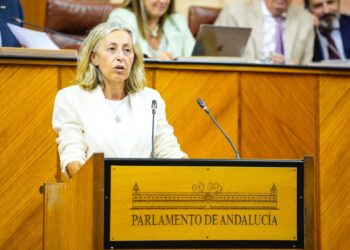 La consejera de Salud, Rocío Hernández, este miércoles durante su comparecencia en el Pleno del Parlamento. (Foto de archivo).JOAQUÍN CORCHERO/PARLAMENTO DE ANDALUCÍA