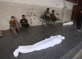 Archivo - Palestinos en el Hospital Al Ahli de la ciudad de Gaza junto a los cadáveres de varios muertos por los ataques del Ejército de Israel contra la Franja de Gaza (archivo)Europa Press/Contacto/Omar Ashtawy - Archivo