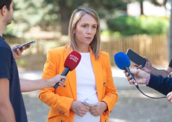 La vicesecretaria de Coordinación Sectorial del PP y eurodiputada, Alma Ezcurra.PP