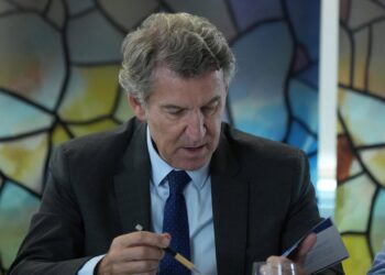 El presidente del Partido Popular, Alberto Núñez FeijóoDavid Zorrakino - Europa Press