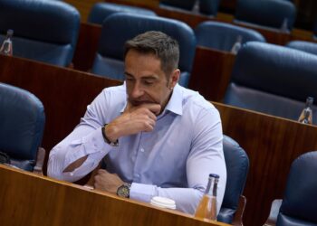 Archivo - El diputado de Más Madrid en la Asamblea de Madrid, Emilio Delgado, durante una sesión plenaria en la Asamblea de MadridJesús Hellín - Europa Press - Archivo