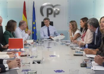El líder del PP, Alberto Núñez Feijóo, preside la reunión del comité de dirección del PP.PARTIDO POPULAR