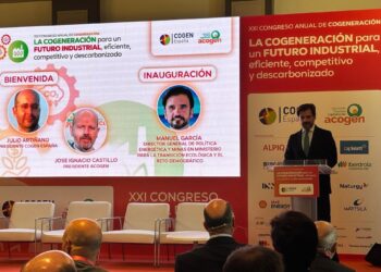 El director general de Política Energética y Minas, Manuel GarcíaCOGEN