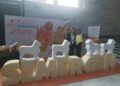 CICAMA presenta en SEMERGEN un innovador tratamiento de las adicciones sin medicaciónCICAMA