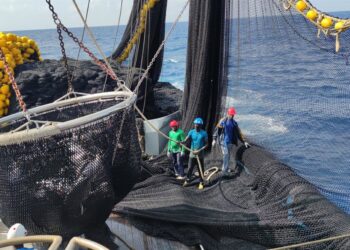La flota atunera española, la primera del mundo en recibir el sello MSC para el 'stock' de rabil del ÍndicoOPAGAC