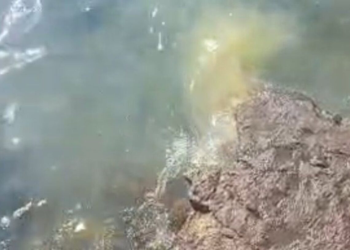 Vertidos en la Punta del Camello, en la playa de El Reducto de Arrecife (Lanzarote)AYUNTAMIENTO DE ARRECIFE